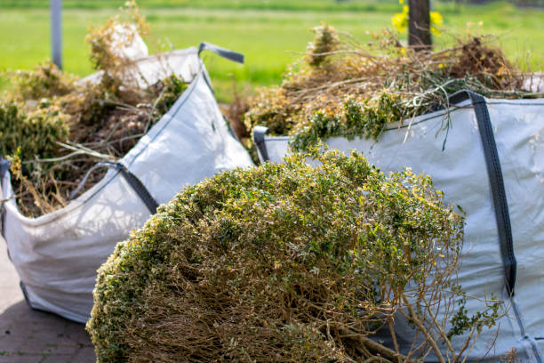 Best Same-Day Junk Removal  in Socastee, SC